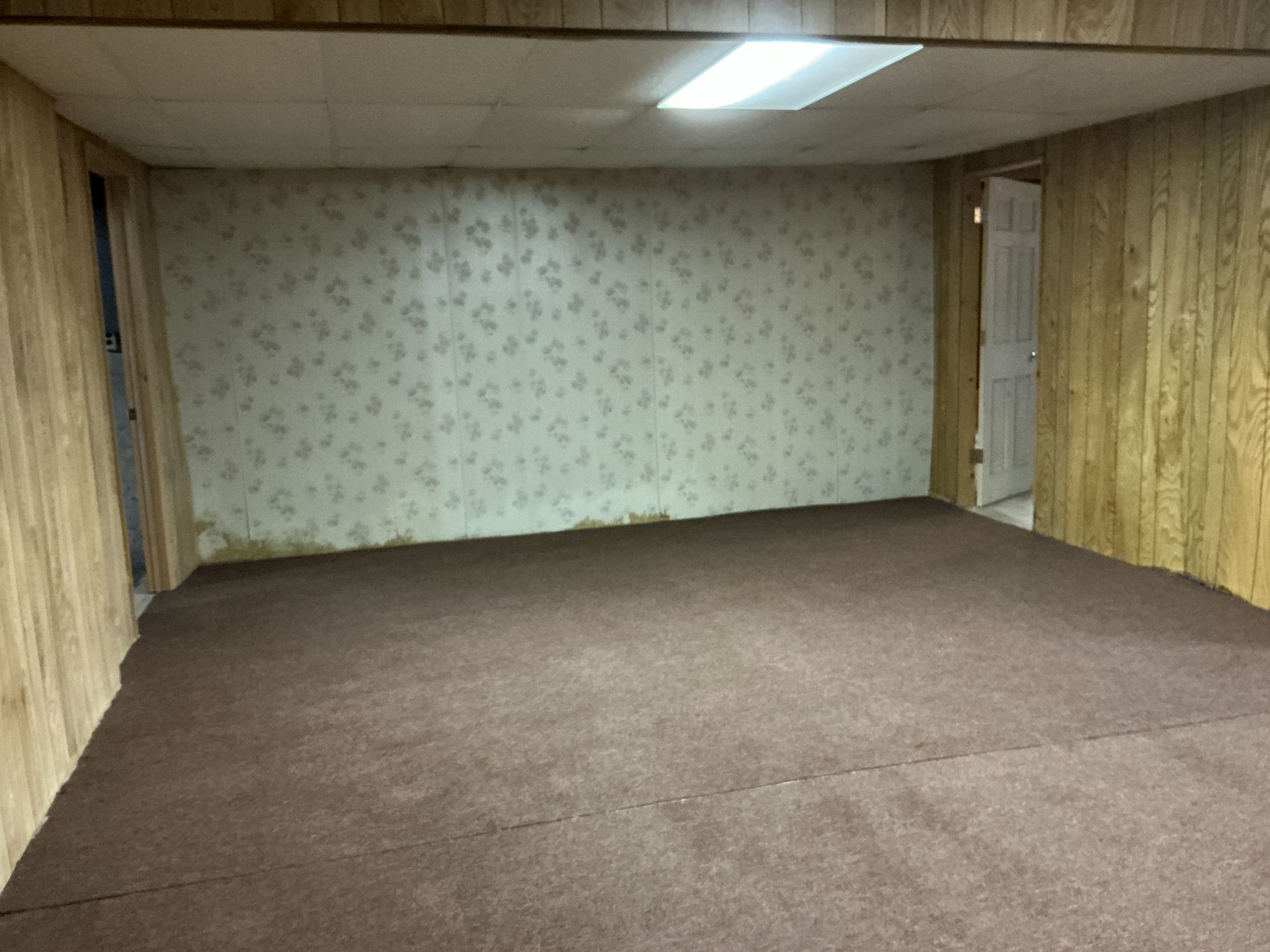 Lot image 117