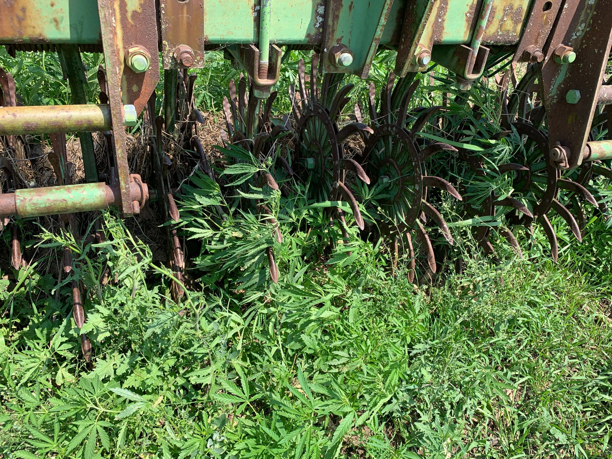 Lot image 5