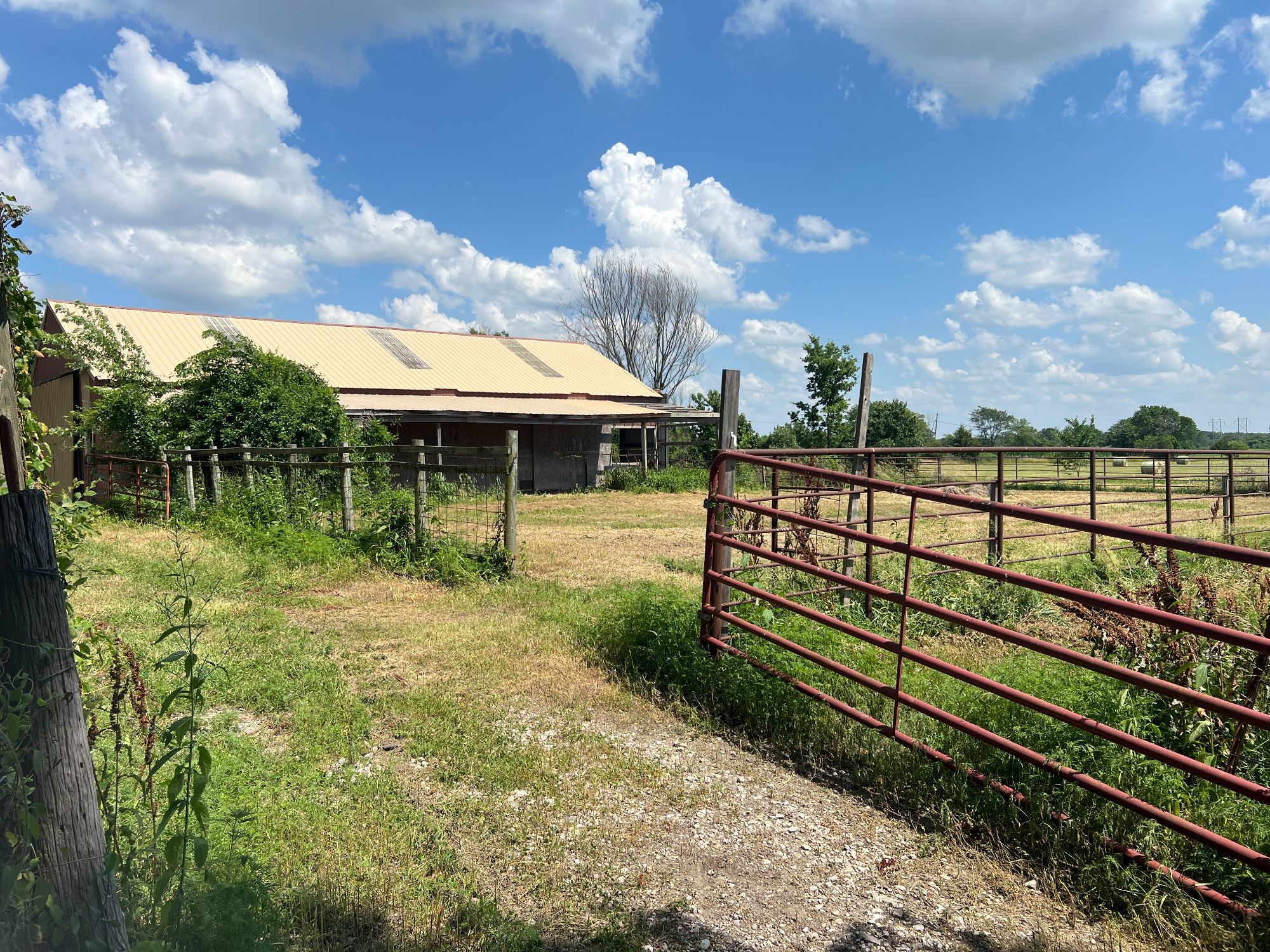 Lot image 31