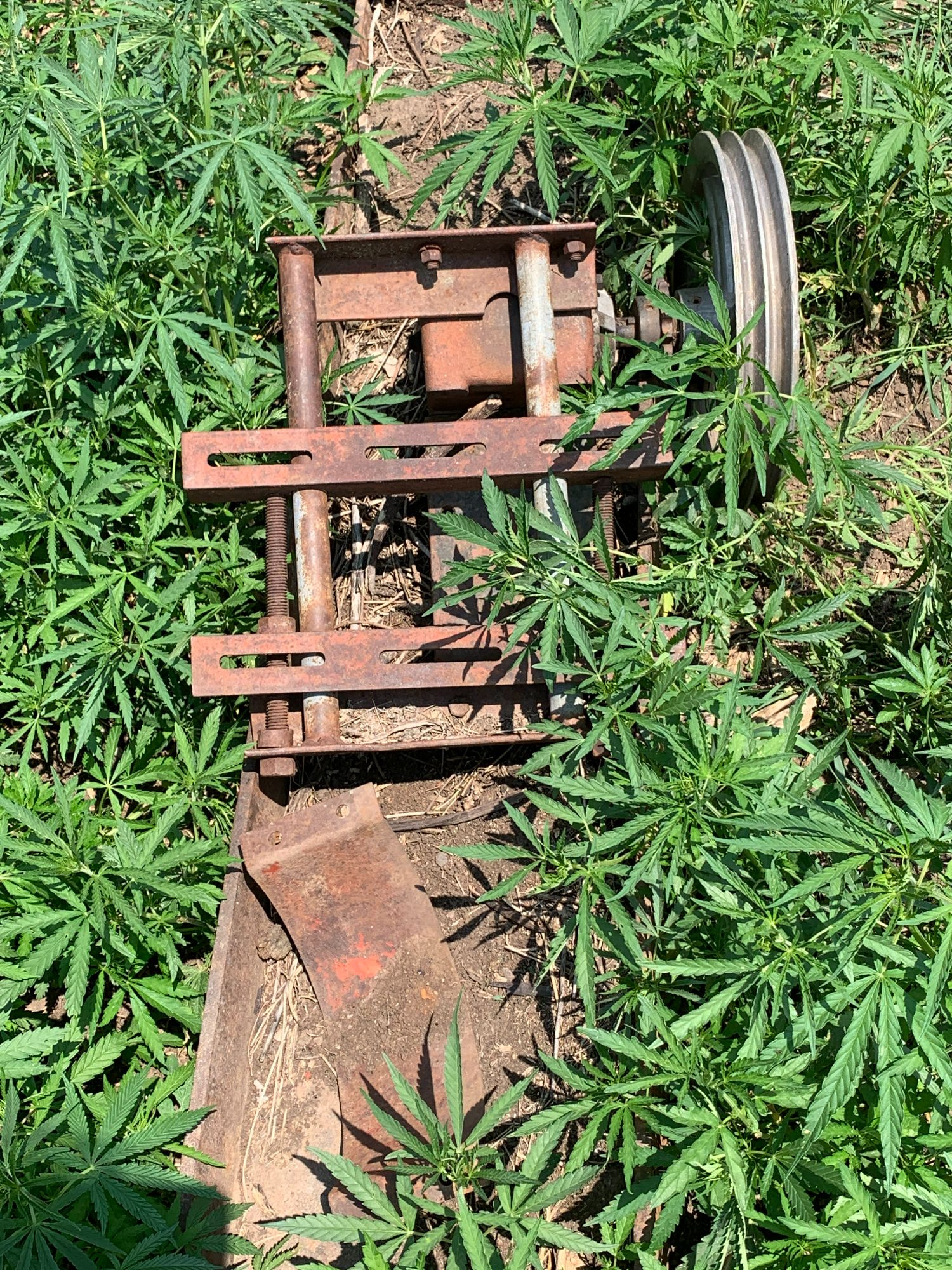 Lot image 11