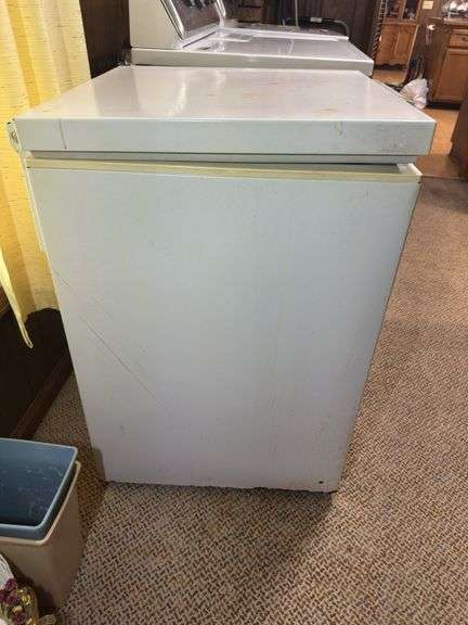 Wood's Household Chest Freezer