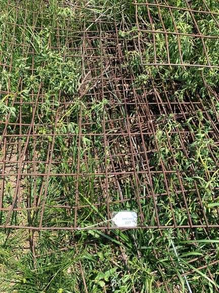 Lot of Cattle Panels