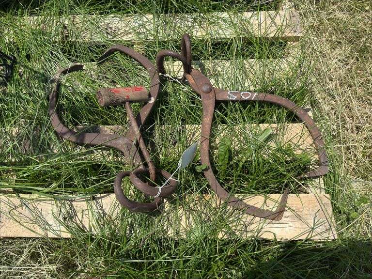 Set of Ice Tongs and hay hook image