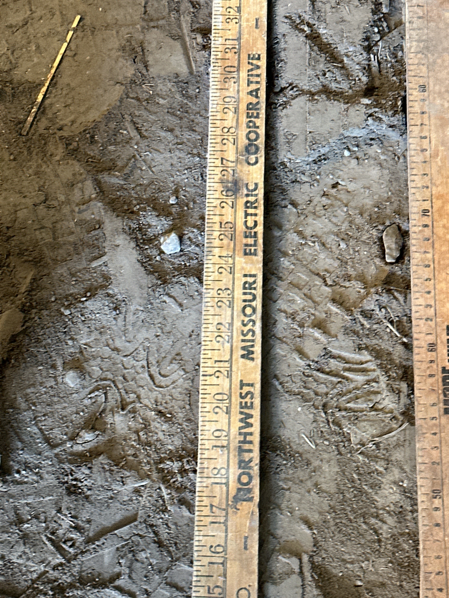 Lot image 9