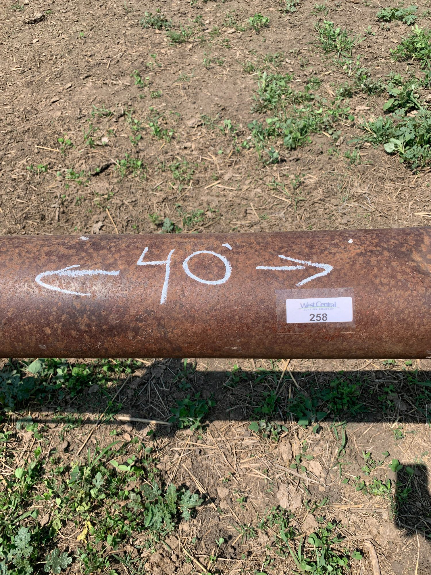 Lot image 12