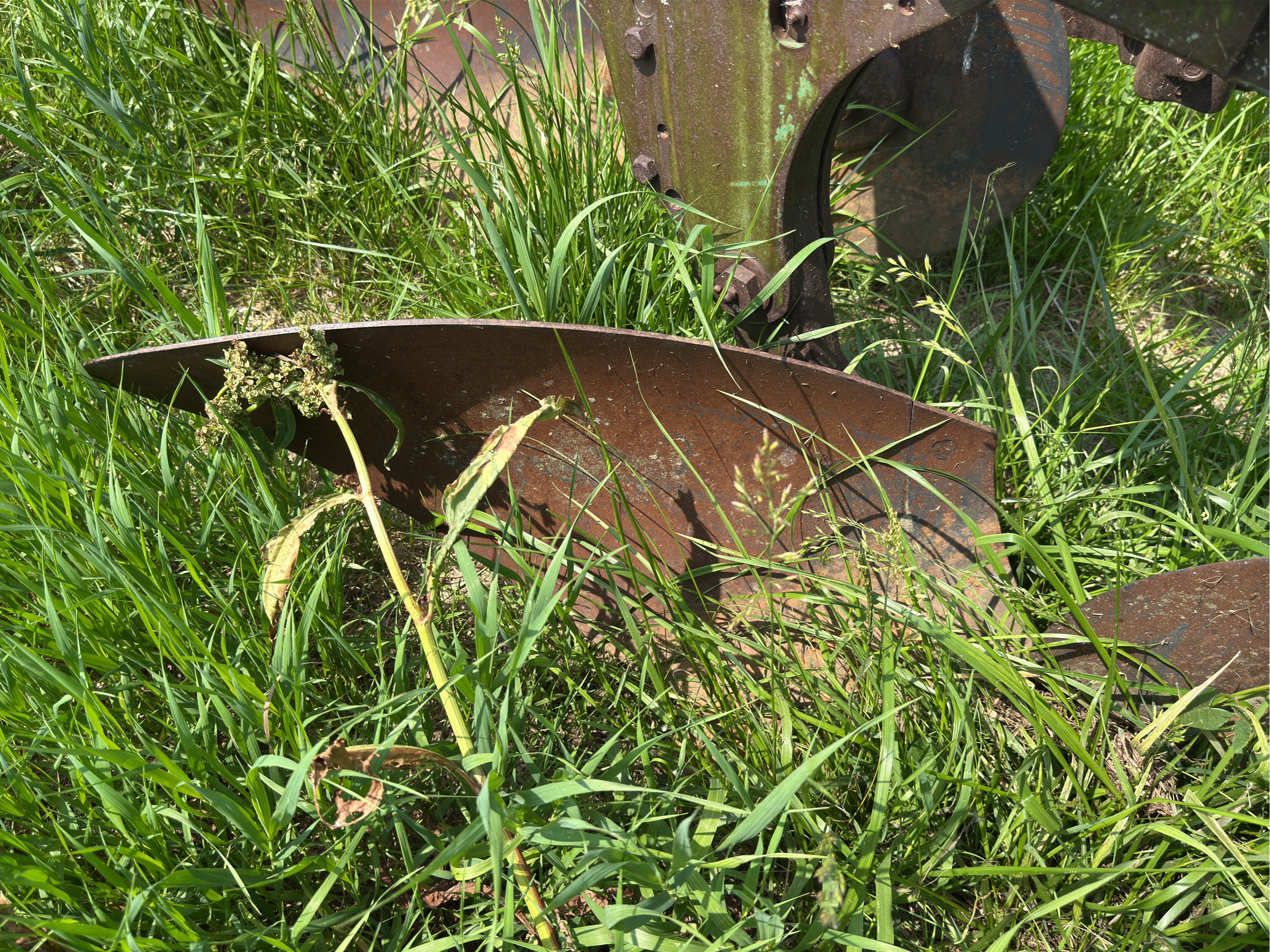 Lot image 7