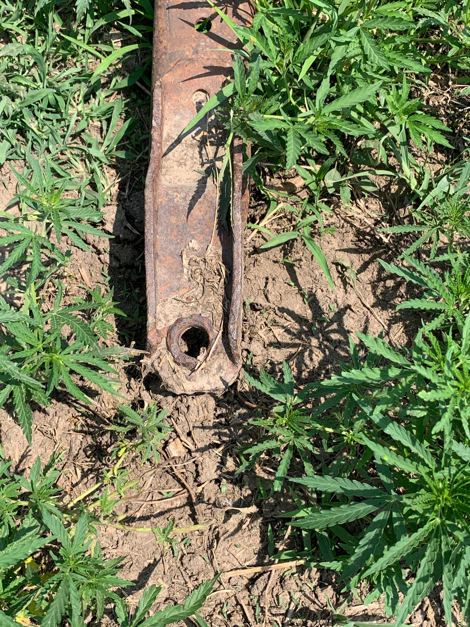 Lot image 6