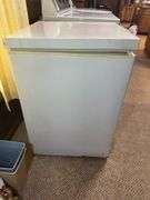 Wood's Household Chest Freezer