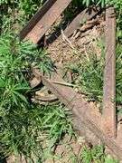 Assorted Farm Equipment Parts