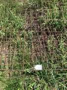Lot of Cattle Panels