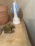 Eclectic Assortment: Figurine, Candle, Flower Pots, and More