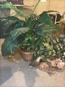 Assorted Home and Garden Decor Items