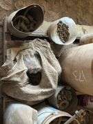 Mixed Hardware - Nuts, Bolts, Washers