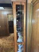 Lighted Glass/Wooden Display Cabinet-CABINET ONLY NO CONTENTS