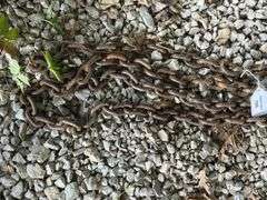Heavy Duty Tow Chain, Approx 20ft