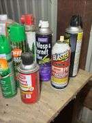 Assorted Automotive and Home Chemicals