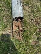 Mayrath Auger