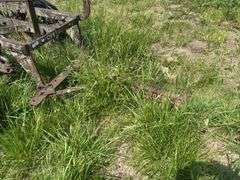 John Deere 3 bottom pull type plow, spoke wheels