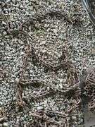 Rear tractor chains-2, believed to fit 30" rear tires.