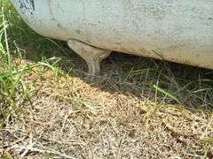 Clawfoot Bathtub 5ft