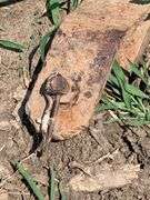 Pull Type Hay Rake