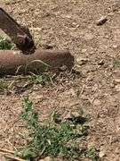 Tractor Mounted Hay/Manure Fork
