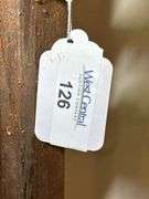 Pair of Standing Coat Racks