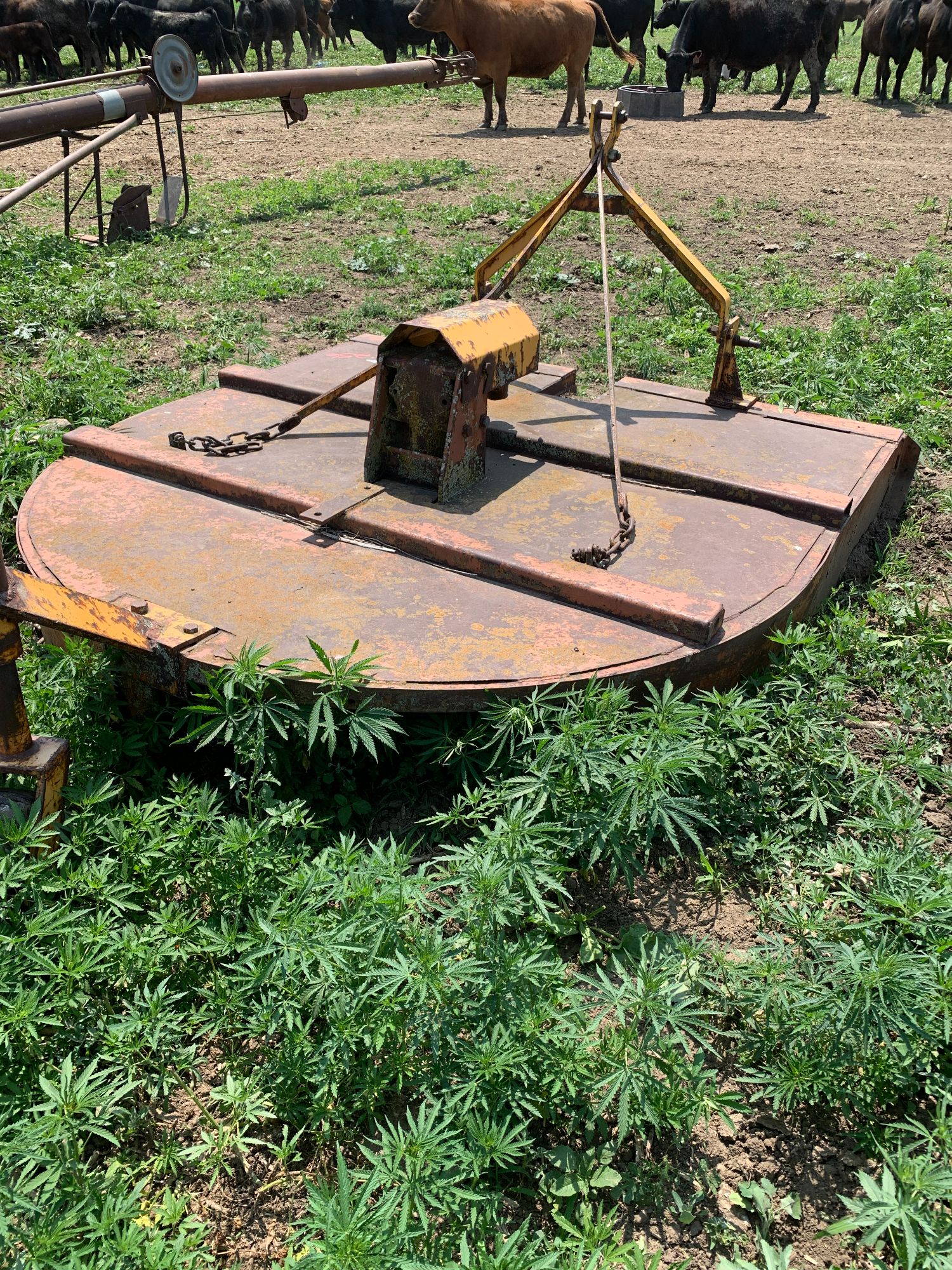 Lot image 4