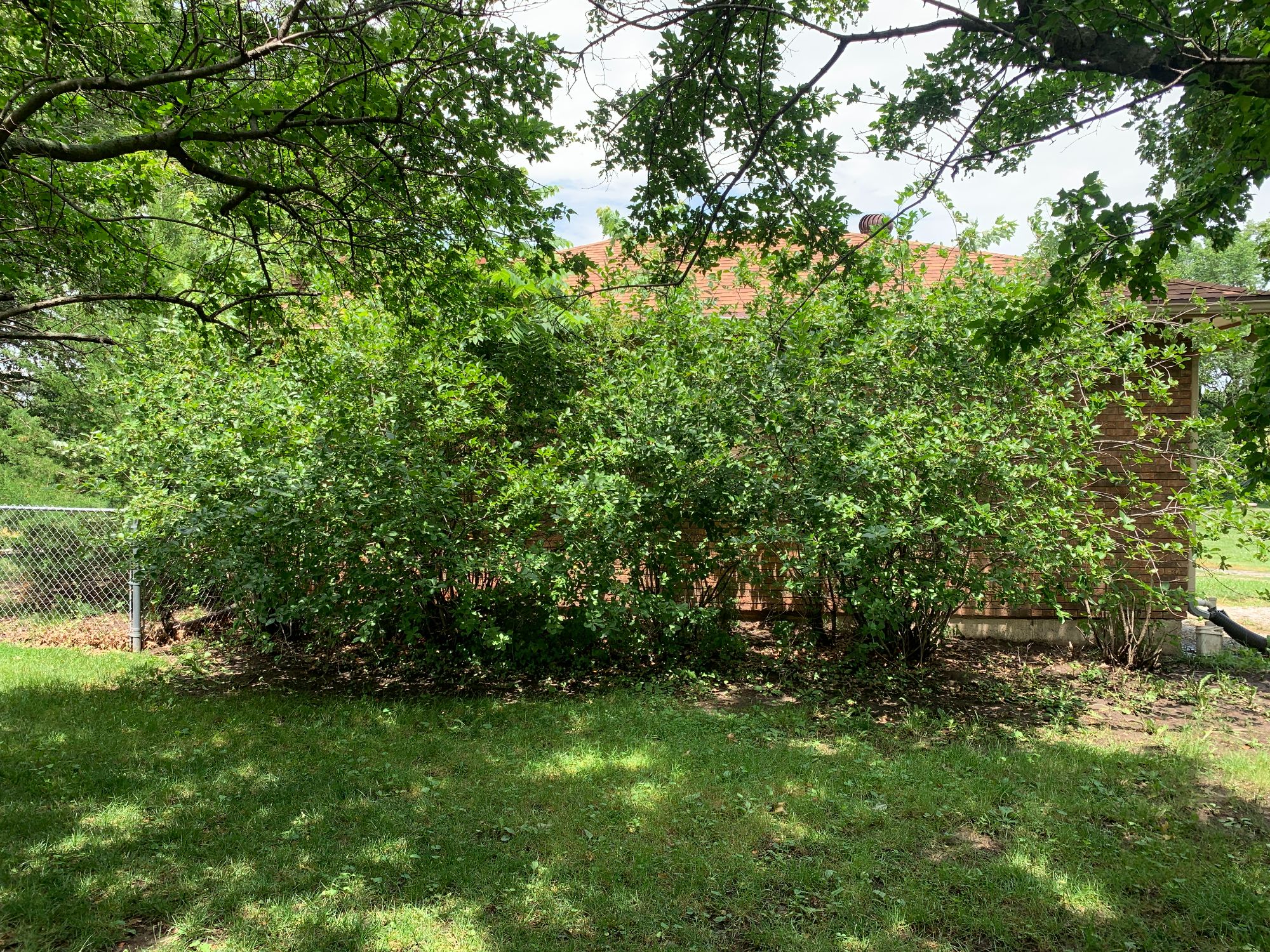 Lot image 30