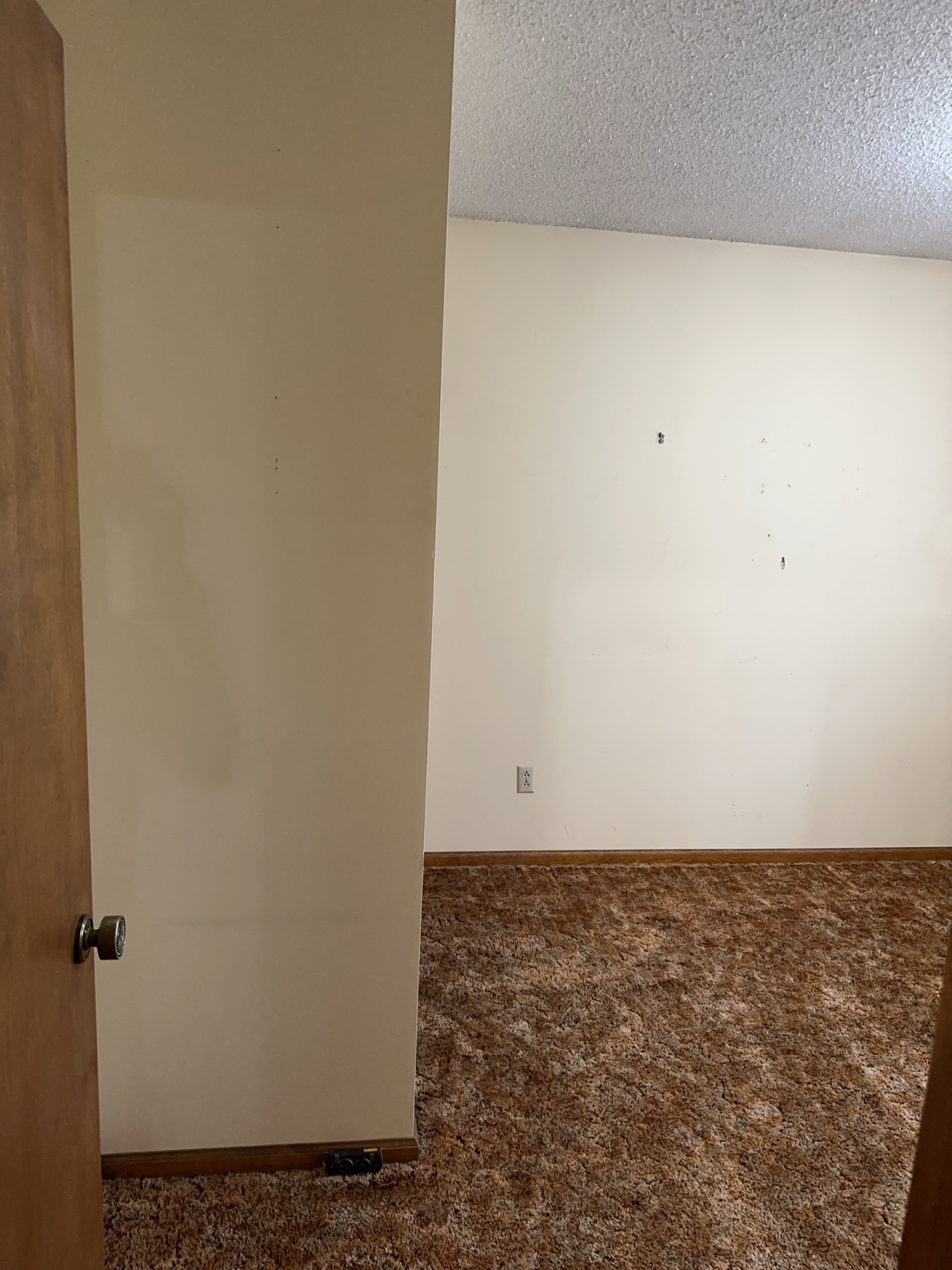 Lot image 81