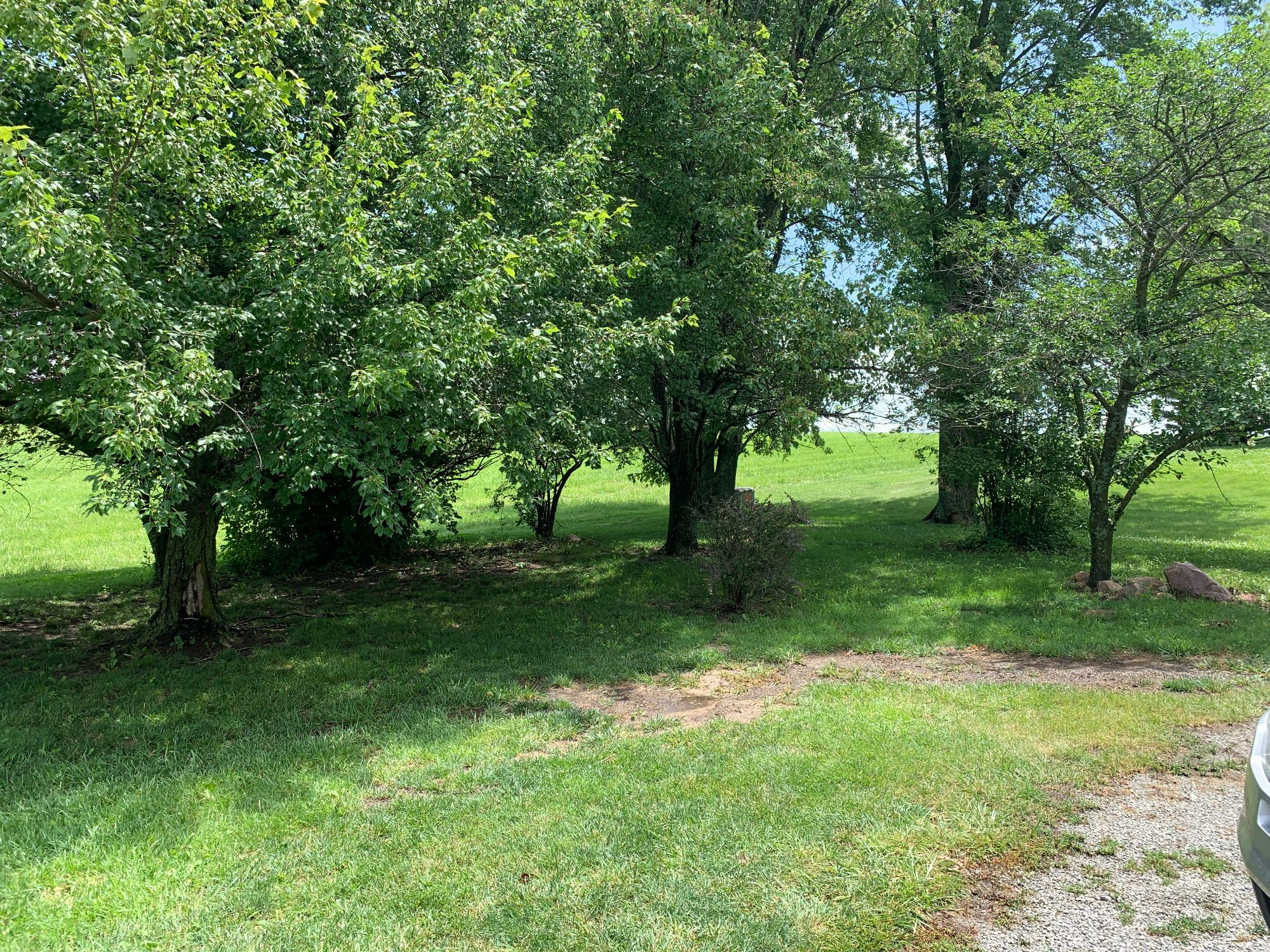 Lot image 34