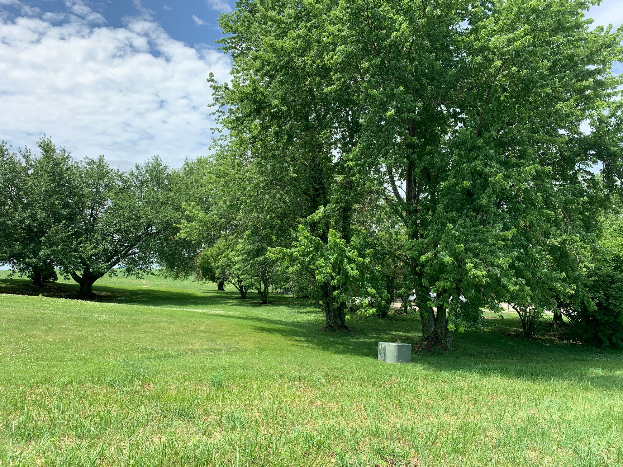 Lot image 33
