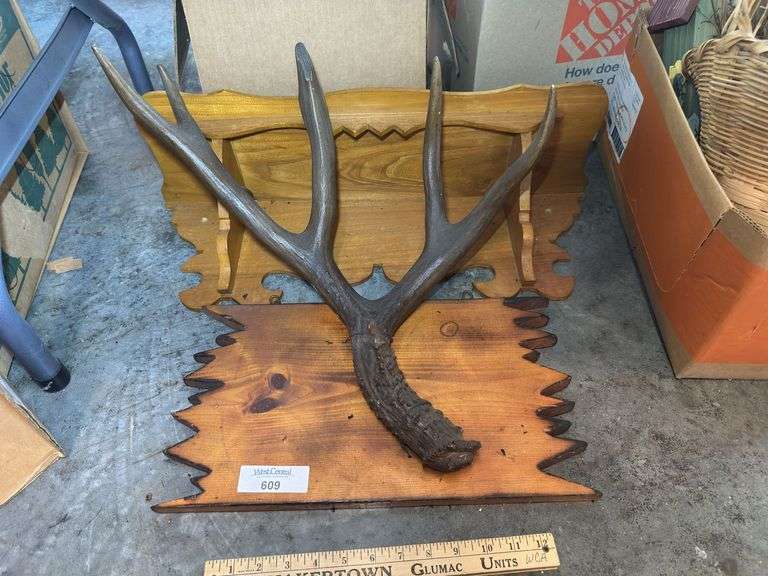Mounted Deer Antler and Display Shelf image