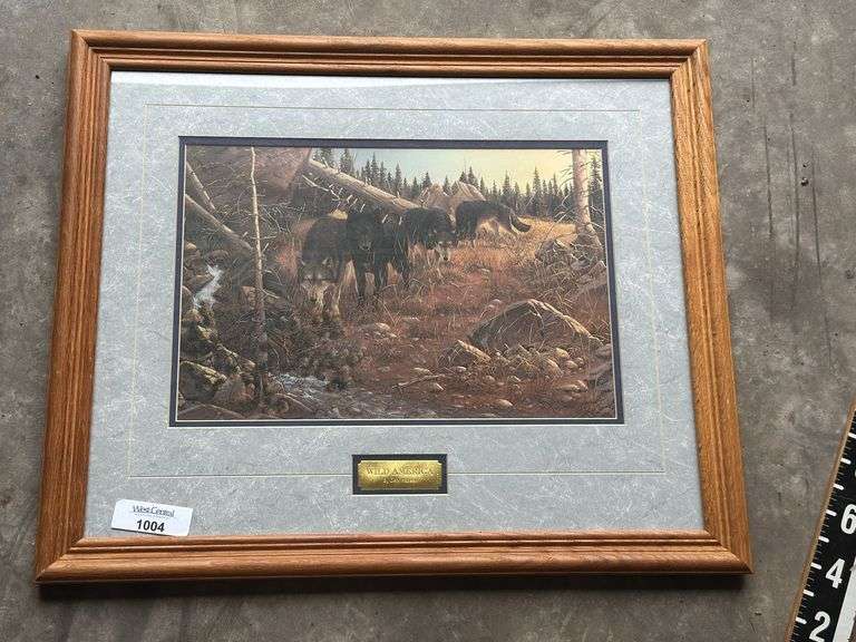 Framed "Wild America" Print by Dan Hansen image
