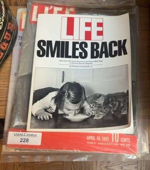 Collection of LIFE Magazines from 1945 and 1962 image
