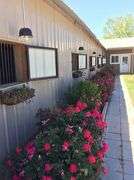 34± acre Premier Equestrian Facility Austell, Cobb County, GA