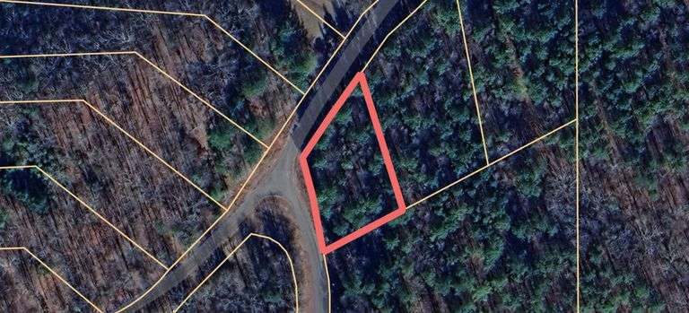 0.53± acre Interior Wooded Lot (Lot 4 – PIN #502275) image
