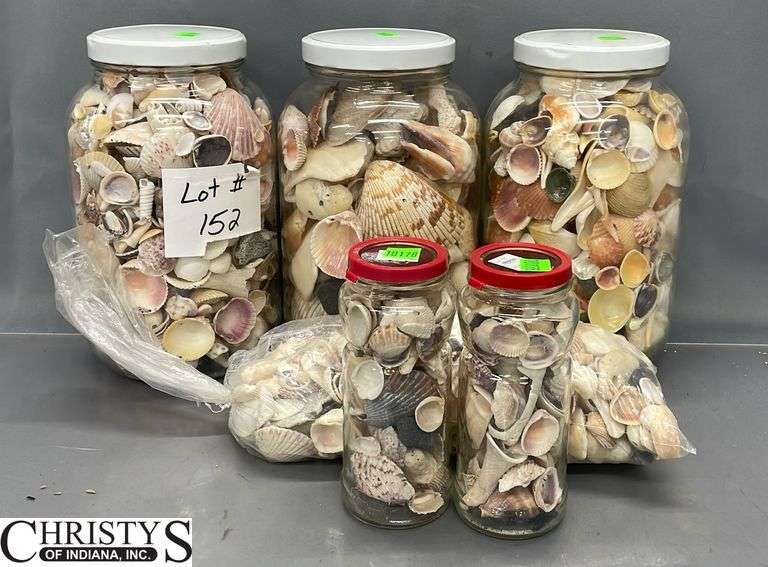 Seashells and Glass Jars, Tallest Jar 10.5"