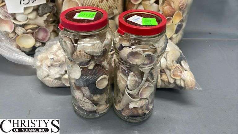 Seashells and Glass Jars, Tallest Jar 10.5"