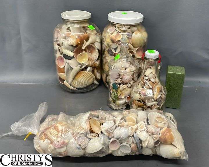 Seashells and Glass Jars, Tallest Jar 11"