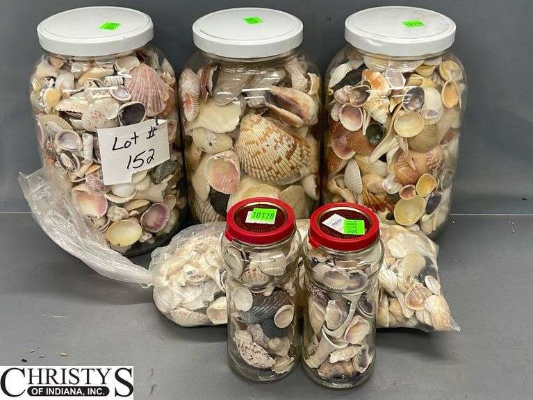 Seashells and Glass Jars, Tallest Jar 10.5"