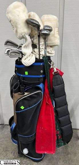 Womens Ping, Cobra, TaylorMade, Golf Clubs in Bag