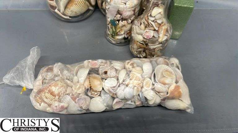 Seashells and Glass Jars, Tallest Jar 11"