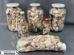 Seashells, Five Glass Bottles, Tallest Bottle 10.5