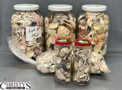 Seashells and Glass Jars, Tallest Jar 10.5"