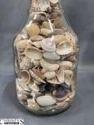 Seashells, Five Glass Bottles, Tallest Bottle 10.5