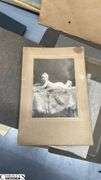 Old Photographs and Photo Albums, Largest Album 13x11