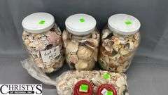 Seashells and Glass Jars, Tallest Jar 10.5"