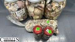 Seashells and Glass Jars, Tallest Jar 10.5"