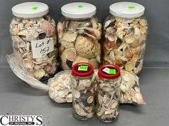 Seashells and Glass Jars, Tallest Jar 10.5"